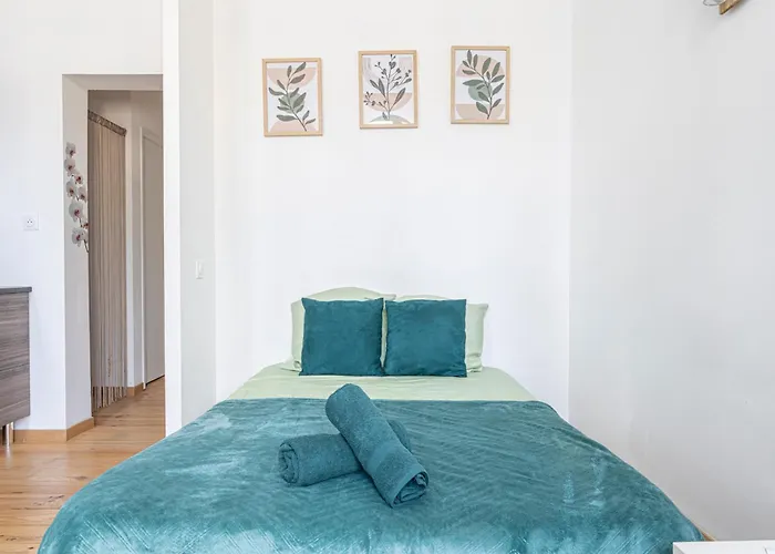 Le Coeur De - - Parking Prive * Pau